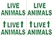 Pet Kennels Small