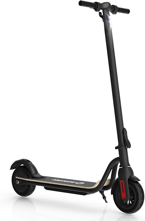 adult's electric scooter