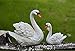 Danmu 2pcs a Set Small Polyresin Mother Swan and Baby Swan Statue Fairy Garden Decor