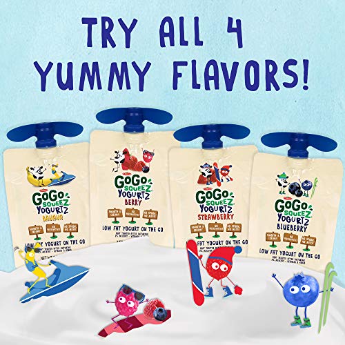 6 GoGo+YogurtZ+Pouches+Healthy+Reusable