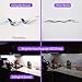 HitLights White LED Strip Lights 5000K, 16.4FT Premium 5050 Light Strip, 300 Bright LEDs, Strong Adhesive Backed, 12V Tape Lights for Mirror, Bedroom, Cabinet, Display, Kitchen, UL-Listed