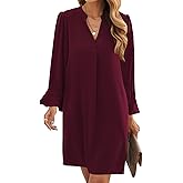 Wkior Long Sleeve Dress for Women V Neck Casual Cute Loose Flowy Swing Shift Dresses(S-2XL)