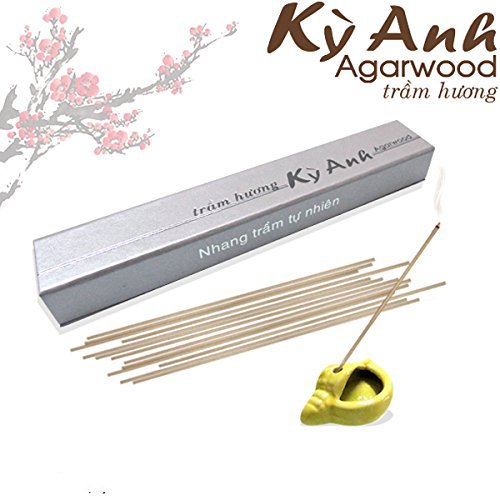 Vietnam agarwood incense sticks â€“ Aligawood Aloeswood incense sticks - Premium Incense Sticks - Meditation japanese incense sticks - agarwood oudh incense sticks (Grade B+, 20G)