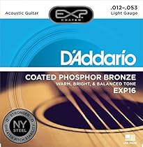 D'Addario EXP16 with NY Steel Phosphor Bronze Acoustic Guitar Strings, Coated, Light, 12-53
