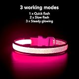 YFbrite Light Up Dog Collar Pink Medium Rechargeable LED Reflective Safety view 2