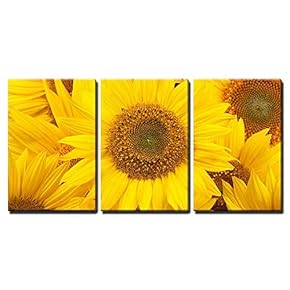 3 Piece Canvas Wall Art - Sunflowers Closeup - Modern Home Art Stretched and Framed Ready to Hang - 16"x24"x3 Panels