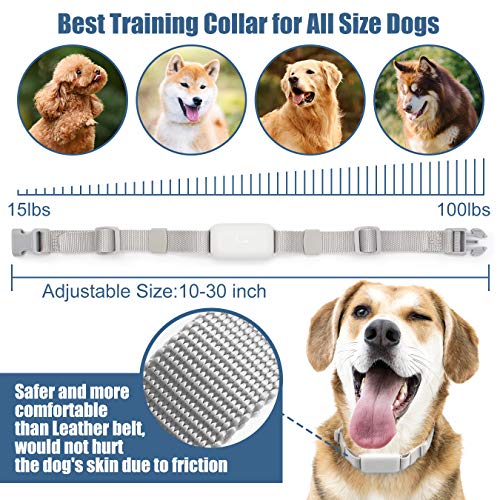 petfinder shock collar