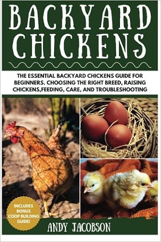 Backyard Chickens The Essential Backyard Chickens Guide For