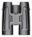 Leupold 11989 Bx-2 Acadia Roof Binoculars, Black, 8 x 42mm