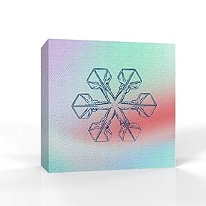 wall26 - Canvas Wall Art - Snowflake Theme...