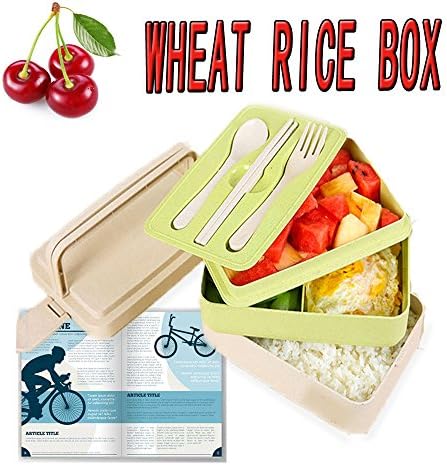 SEY6 Bento Lunch Box Spoon Fork and Chopsticks Set for Adults and Student in School Affice and Family (Green)