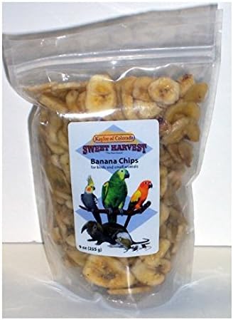 Kaylor Made Sweet Harvest Vitamin Enriched Banana Chips Header Bird Treats 9z