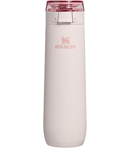 Amazon.com: STANLEY IceFlow Bottle, 16 oz, Stainless Steel | Cap