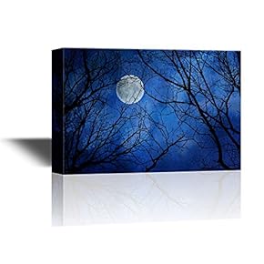 Canvas Wall Art - Bright Full Moon in The Sky Viewed Through Black Tree Branches - Gallery Wrap Modern Home Art | Ready to Hang - 12x18 inches