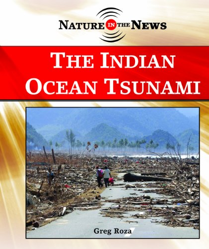 The Indian Ocean Tsunami