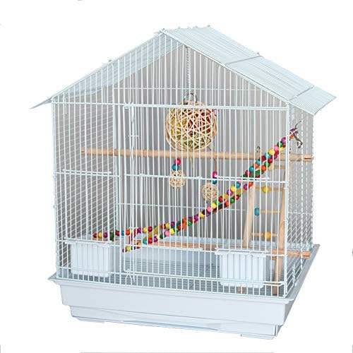 オウムケージ止まり木繁殖鳥かごバッジーカナリアオカメインコ 白 Package Tarunniketanpublicschool Com