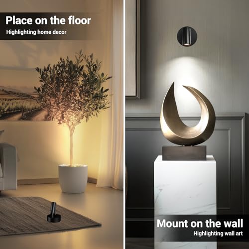 TaoFiaCo Rechargeable LED Wall Spotlights for Indoor Black 2 Pieces – USB Wall Light with Remote Control 3 Colours – Wireless LED Spotlight for Lighting Paintings Plants Bedroom