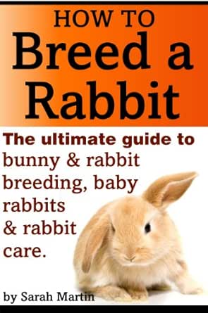 baby bunny care guide