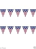 Ladies Mens American Independence Day Fancy Dress