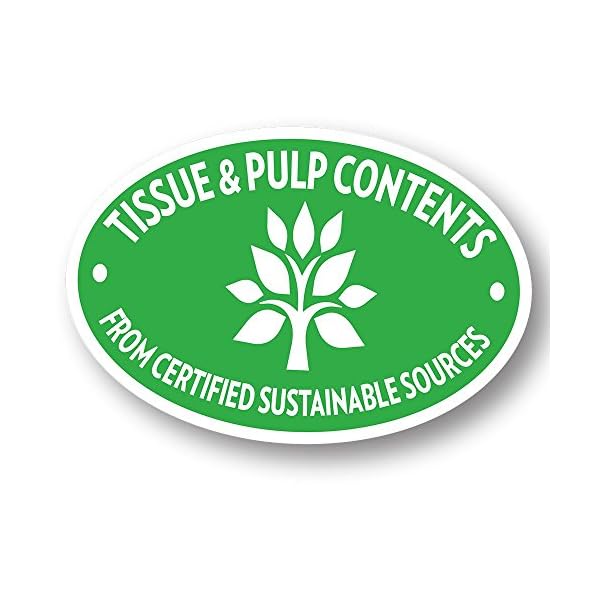 OUT! Go Here Absorbent Pet and Puppy Training Pads |100 Pads