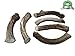 Top Dog Chews Premium Large Grade A Whitetail Deer Antler for Dogs - Single Antler