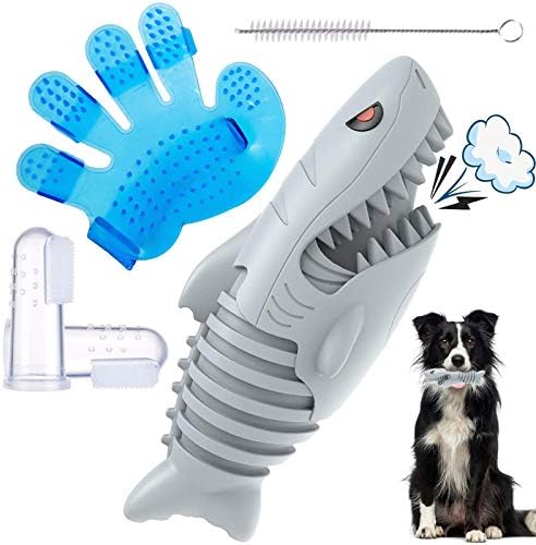 indestructible outdoor dog toys