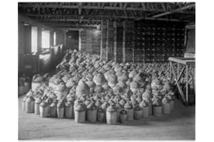 DS Decor Photos Quality Digital Print of a Vintage Photograph - Whiskey Jugs at H Downes & Co, Waterford, Ireland. Black & White 5x7 inches - Matte Finish