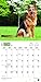 German Shepherds 2017 Square (Multilingual Edition)