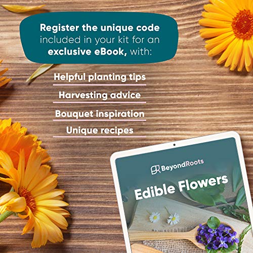100 Edible Flower Seeds for Planting Certified Organic Seeds 9