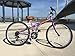 COLUMBA 26 inch 18 Speed Folding Bike (Purple)