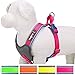 Blueberry Pet 4 Colors Soft & Comfy Summer Hope 3M Reflective Padded Dog Harness Vest, Chest Girth 24