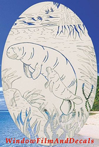 Oval Manatee Etched Window Decal Vinyl Glass Cling - 8" x 12" - White with Clear Design Elements