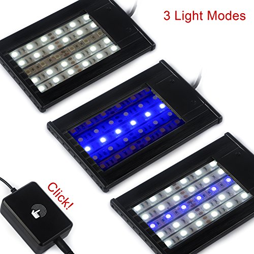 Hoke Day/Night LED Light Hood for Terrarium, White and Blue LEDs