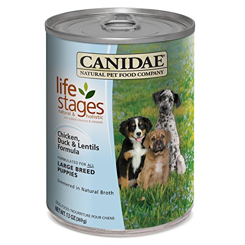 10 Best Dog Foods For Puppies [2018 Reviews] Top Dry & Wet Formulas!