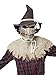 California Costumes Men's Sadistic Scarecrow Costume, Natural, Large/Extra Large