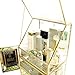 Clear Glass Makeup Organizer Spacious Display Case Mirrored Cosmetic Storage for Makeup/Jewelry/Brushes/Perfumes/Skincare Large Holder for Counter top with Front Open Lid Non-Acrylic