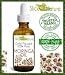 Moringa Oil Virgin 100% Pure Cold Pressed Moringa Oil for Hair, Face, Body - Moringa Oleifera Seed Oil by Slice Of Nature 4 ounce