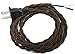 Twisted Rayon Cloth Covered Electric Lamp Cord with Polarized End Plug, Stripped Ends Ready for Wiring 8 feet Long