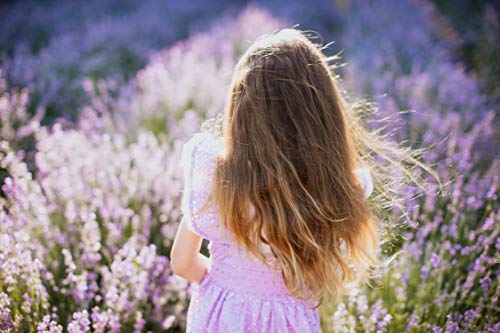 Levandule Chodounska Set mit 3 Tees EARL GREY TEE + VITAFRUIT TEE + GRÜNER TEE mit Lavendel, Packung BIO-TEES 3 x 30g – Bild 8