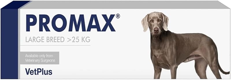 Promax VetPlus Nutritional Paste for Large Dogs 30ml Syringe