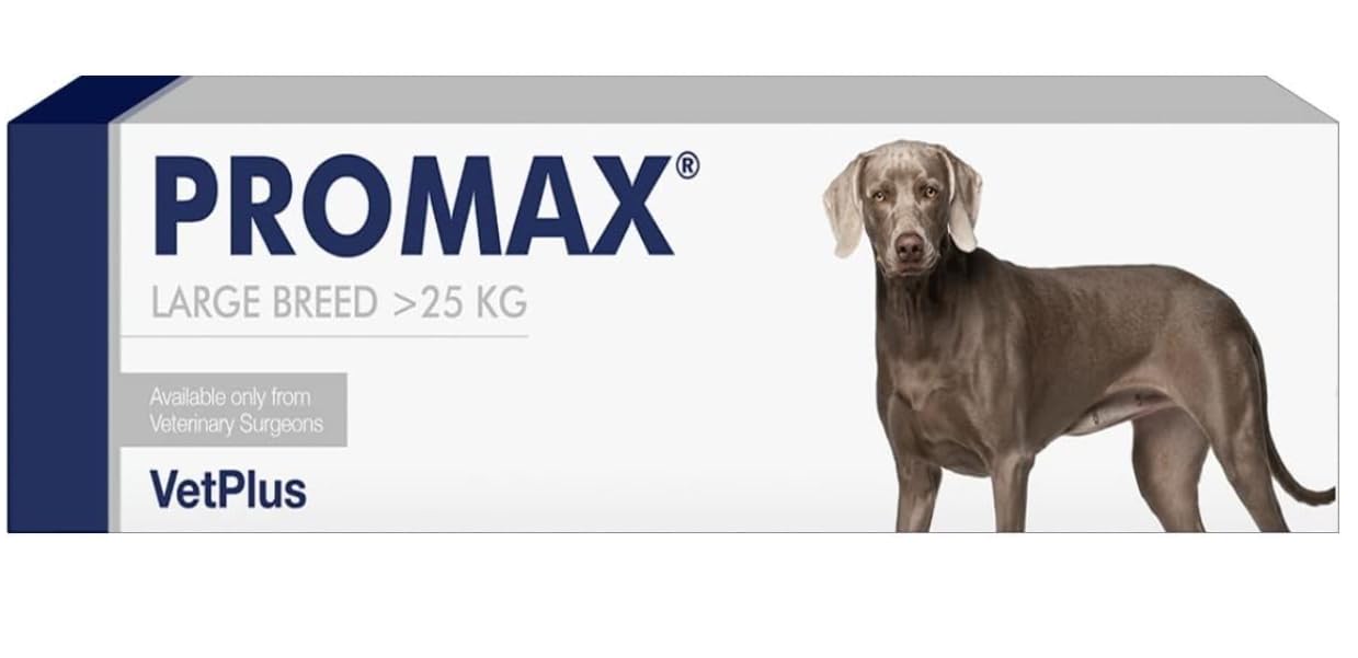 Promax Nutritional Supplement for Large Dogs 30ml Syringe (Packaging May Vary)