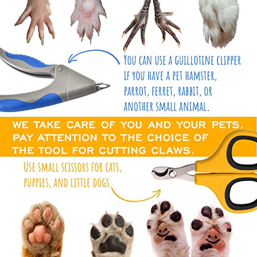 Petriz Dog Nail Clipper For Large Dogs With Guard Professional Nail