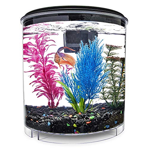 Imagitarium 2 Gallon Cumberland Tank, 2.2 GAL