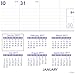 AT-A-GLANCE Wall Calendar 2017, Monthly, 20 x 30