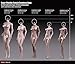 Phicen 1/6 Asia Female Seamless Body with Metal Skeleton Pale Skin Tones PLMB2018-S24A