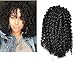 Mali Bob Braid Hair Extensions, Kinky Curly Bulk Twist Crochet Braids 20 Strands/ Pack, (Off Black)