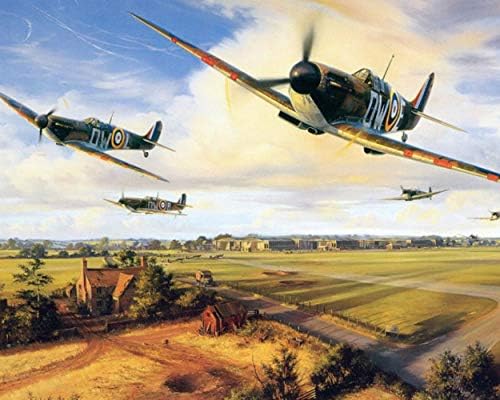 DIY Oil Painting,Paint by Numbers kit for Adults Beginner, Domineering Aircraft.-16X20 Inch (Fighter, 40X50CM)