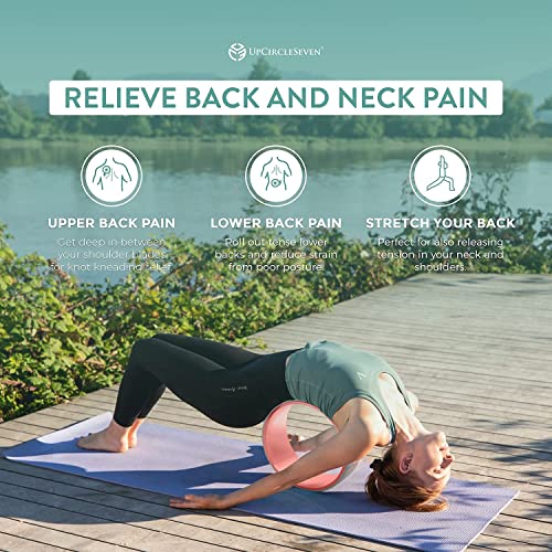 Exercise Ab Roller Back Pain Ab Wheel Back Muscles On Sale