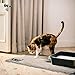 Smiling Paws Pets - Extra Large Cat Litter Mat - Pet Rug - Catches Litter That Spills Outside Litter Box - Easy to Clean - Non-Slip - Litter Box Mat - Kitty Litter Catcher - Grey L Size (35