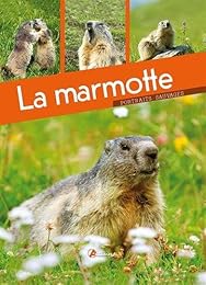 La marmotte